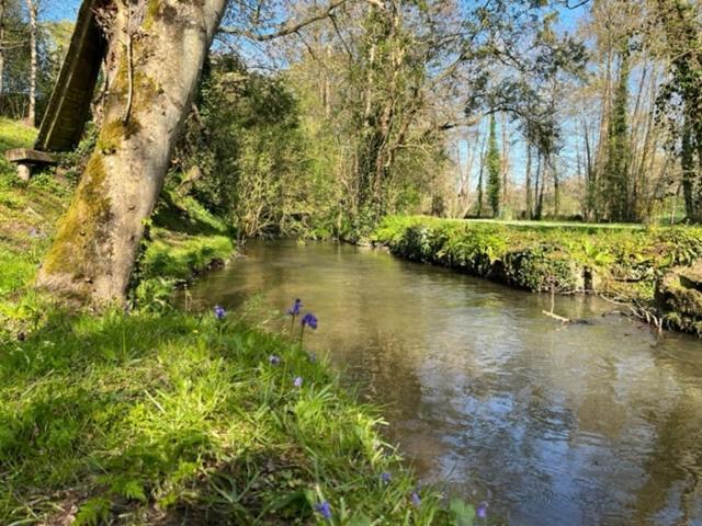 Le Moulin De La Castellerie Bed & Breakfast Moon-sur-Elle Exterior foto
