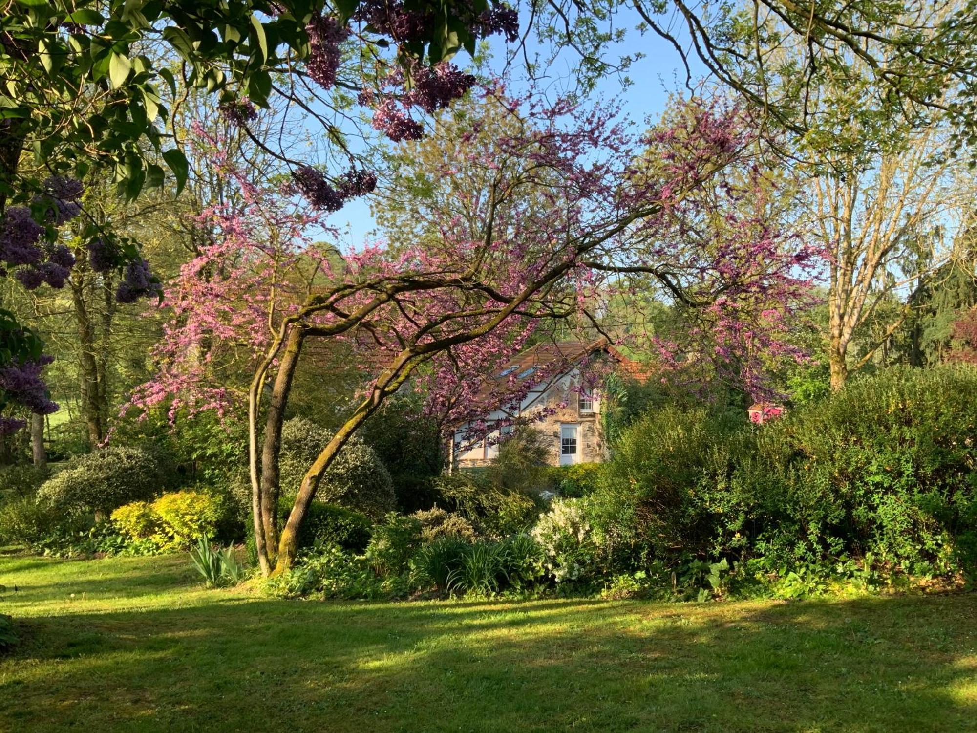Le Moulin De La Castellerie Bed & Breakfast Moon-sur-Elle Exterior foto