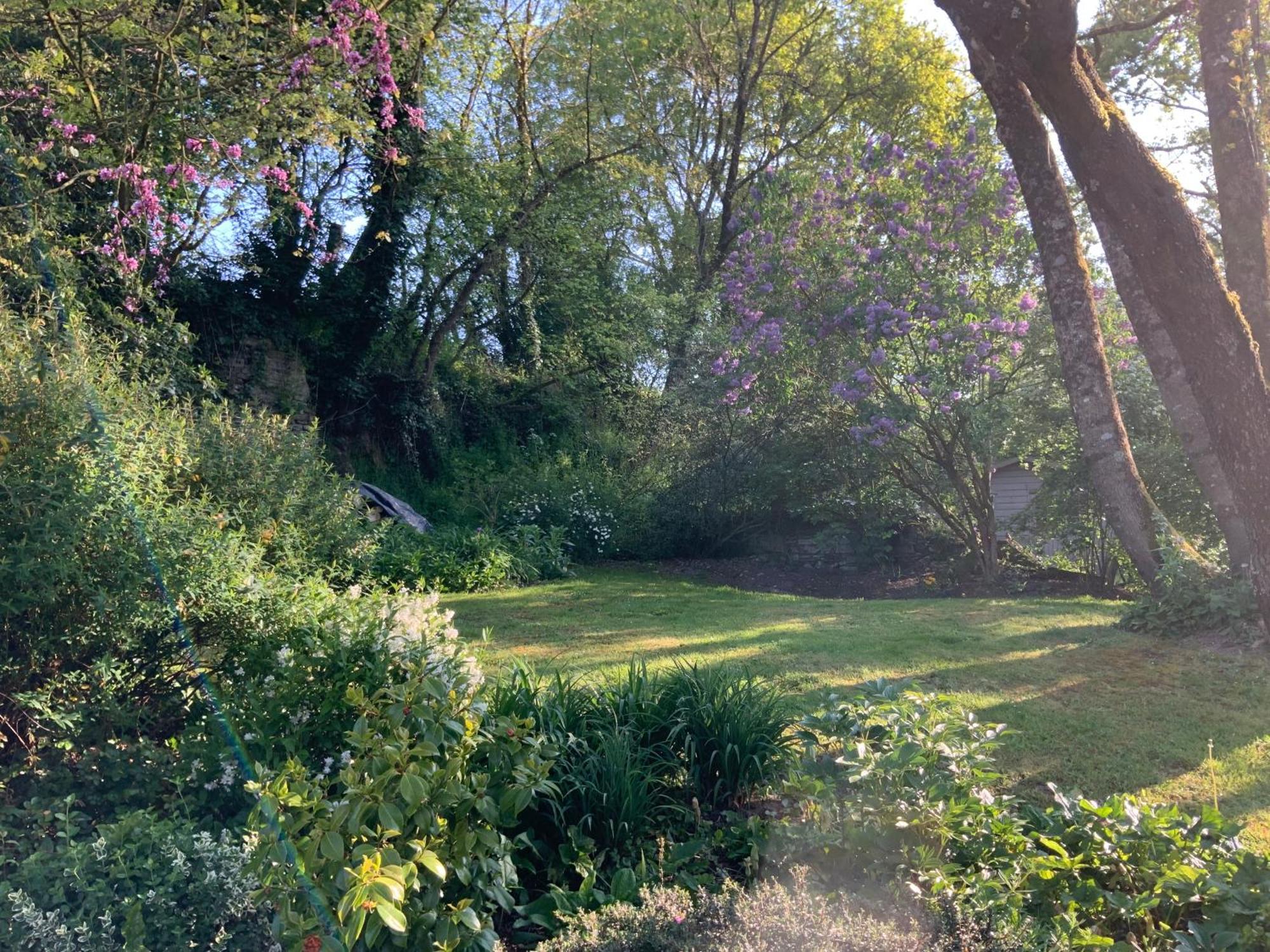 Le Moulin De La Castellerie Bed & Breakfast Moon-sur-Elle Exterior foto